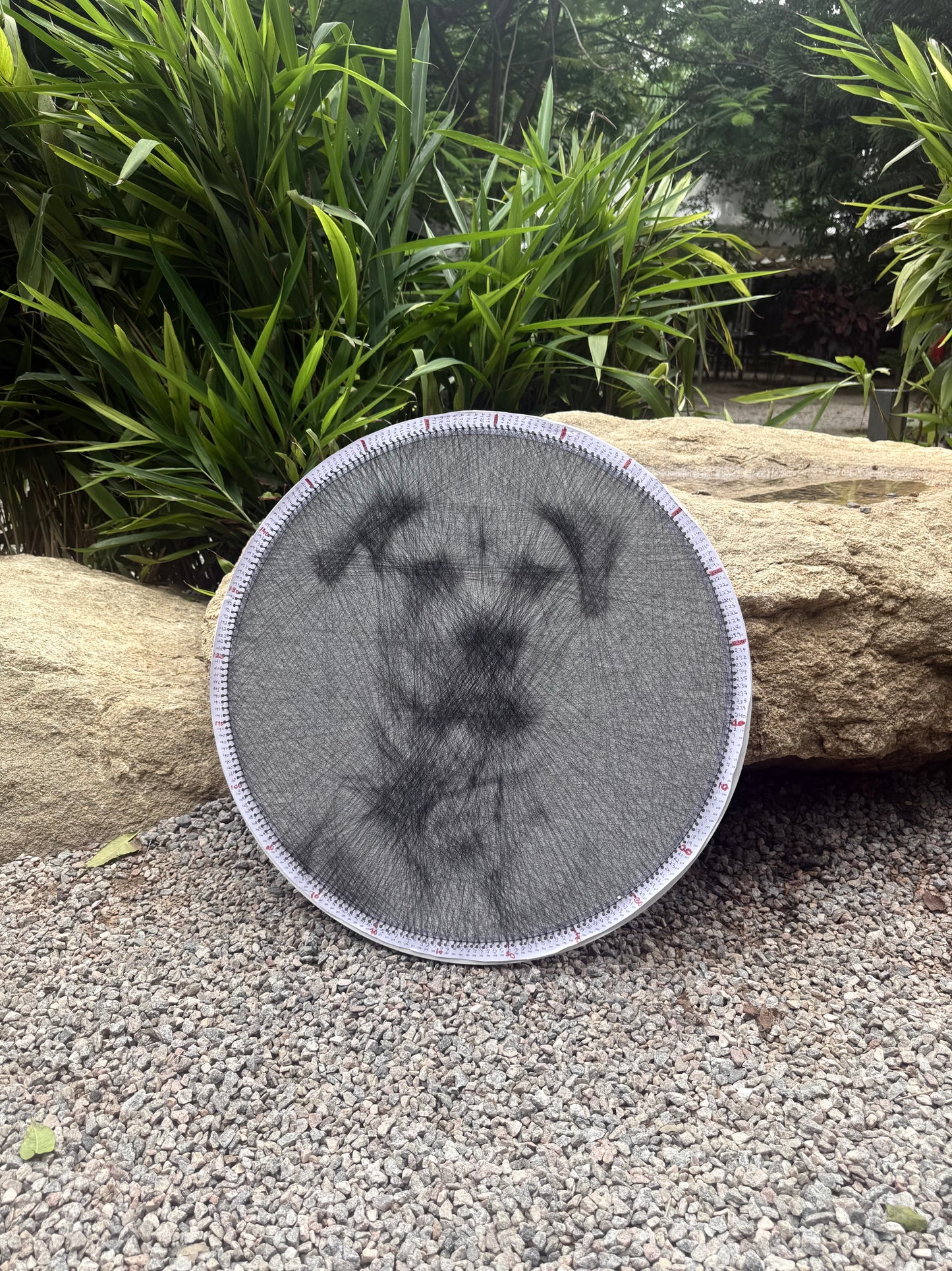 Face Portrait String Art